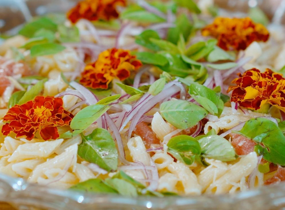 Salada de Mini-Penne com Carpaccio