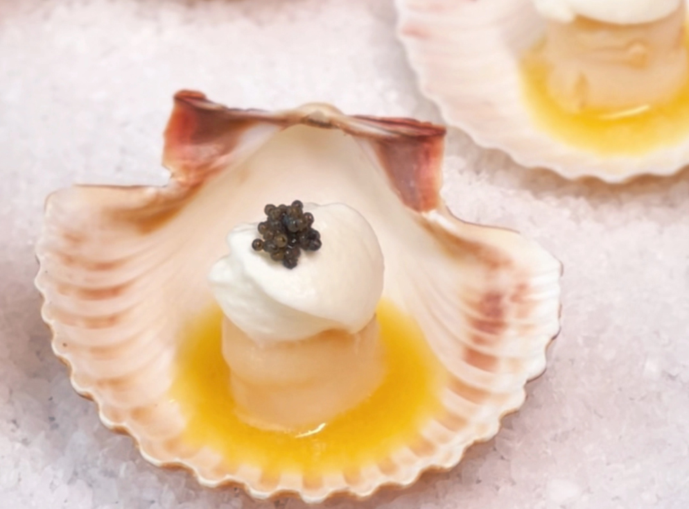 Vieiras com Chantilly de Limão Siciliano